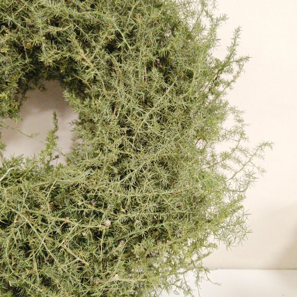 Couronne, Dekokranz aus Asparagus, grün 25 cm